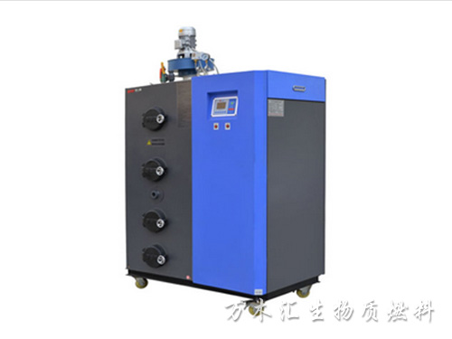 150KG生物質(zhì)蒸汽發(fā)生器